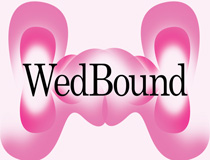 WedBound Splash Logo